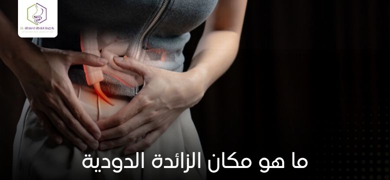 ما هو مكان الزائدة الدودية