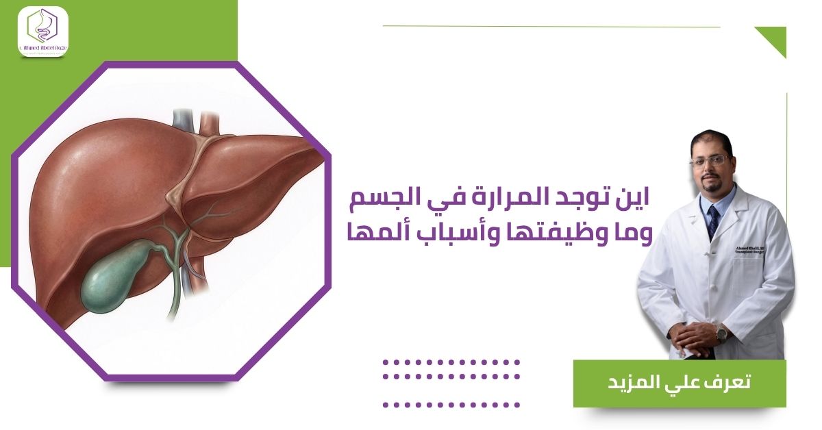 اين توجد المرارة في الجسم وما وظيفتها وأسباب ألمها