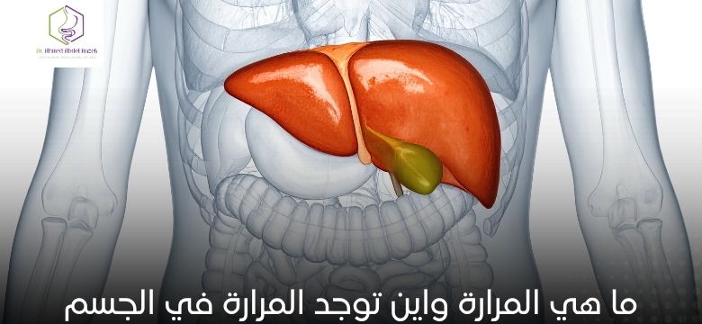 ما هي المرارة واين توجد المرارة في الجسم